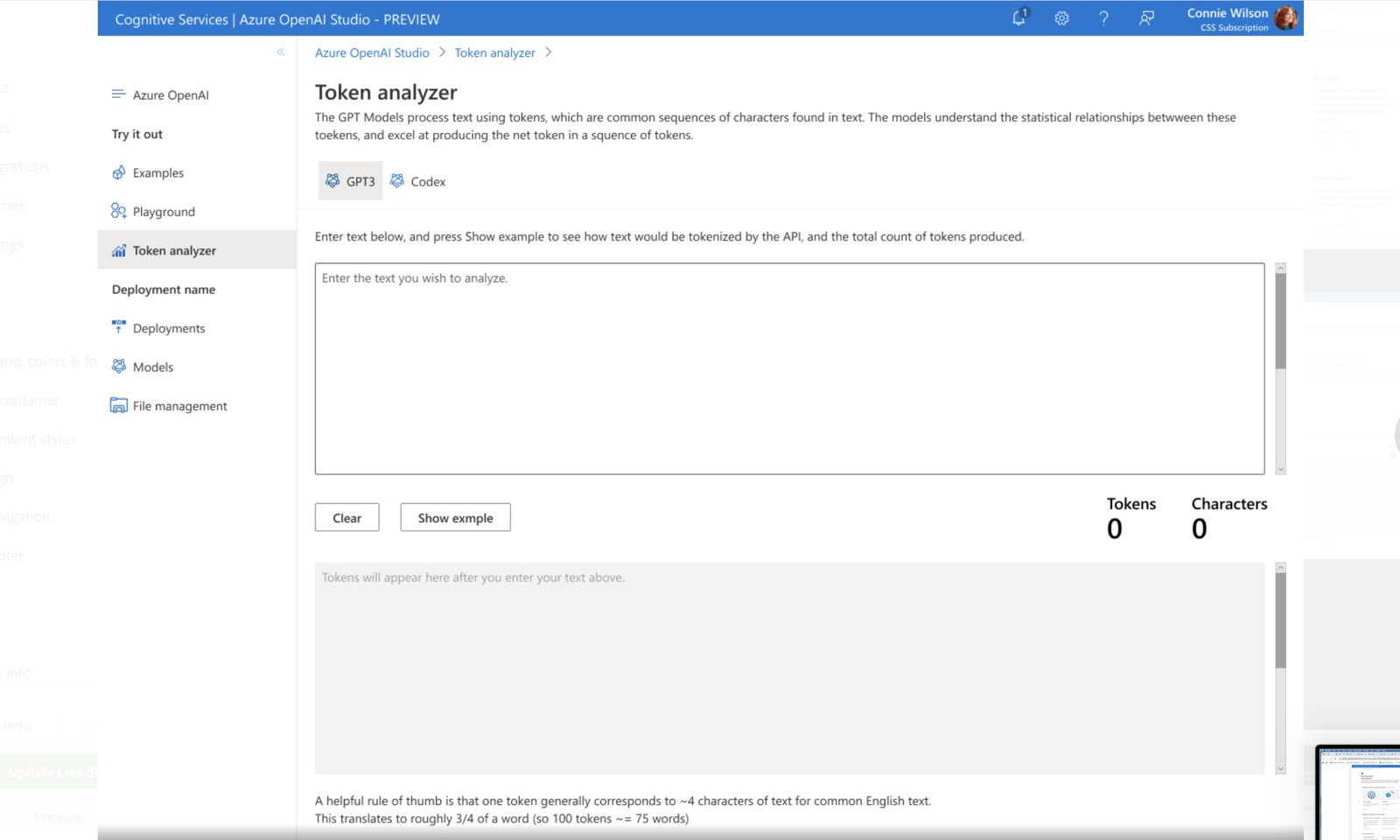 Token analyzer screen with a text field and token and character counts